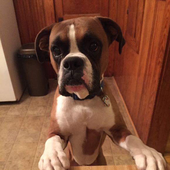 Meet your Posher, Nicole - Picture 1 of 1